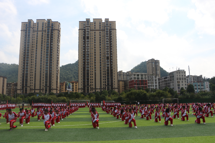 图片7 (1).png